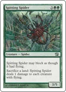 Spitting Spider