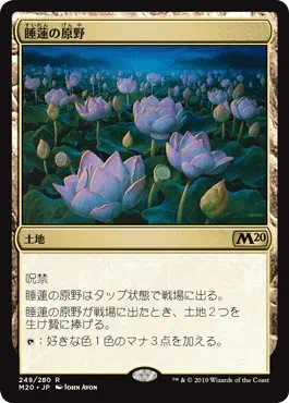 lotus-field
