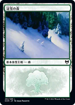 snow-covered-forest