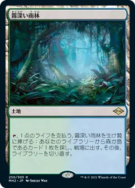 misty-rainforest