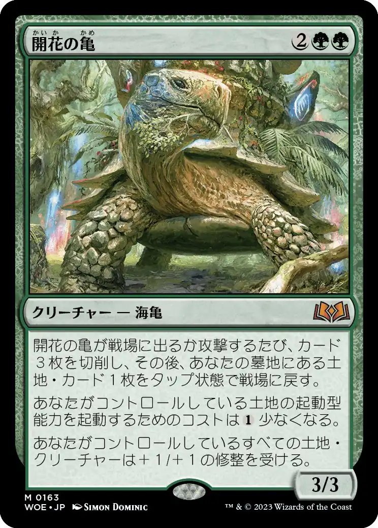 blossoming-tortoise